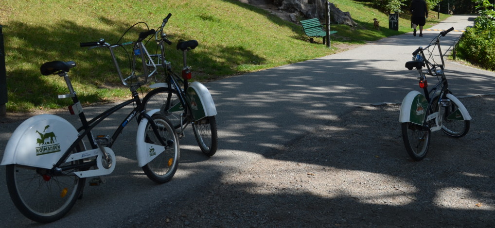 Citibikes Stockholm 2018